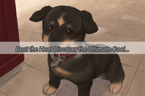 Beat the Heat Discover the Ultimate Cooling Solution for Your Pooch with UltraCool Dog Summer Essentials